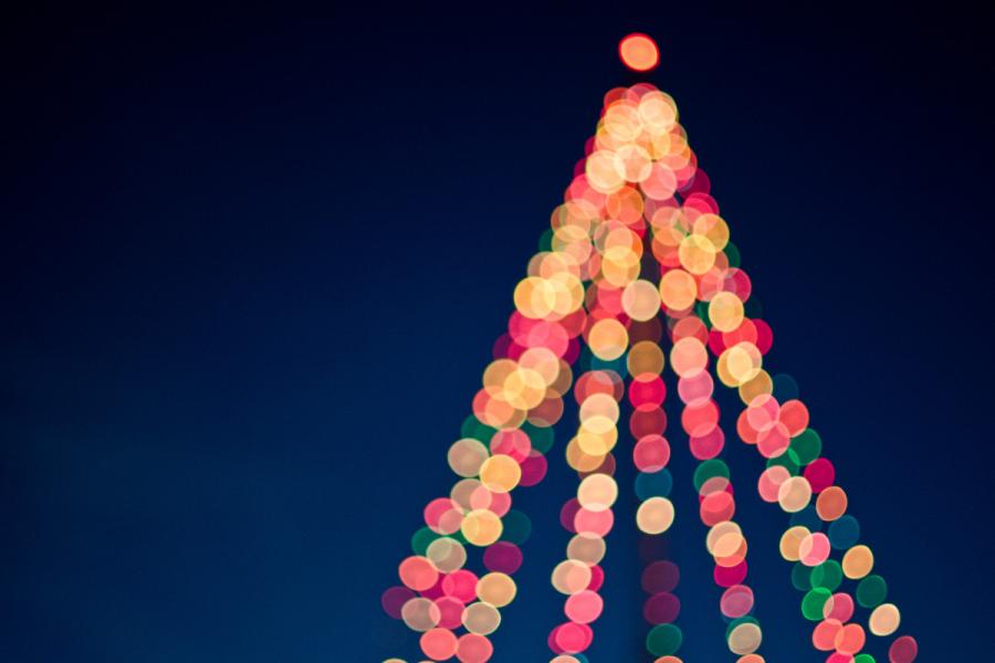 Accensione dell'albero di Natale