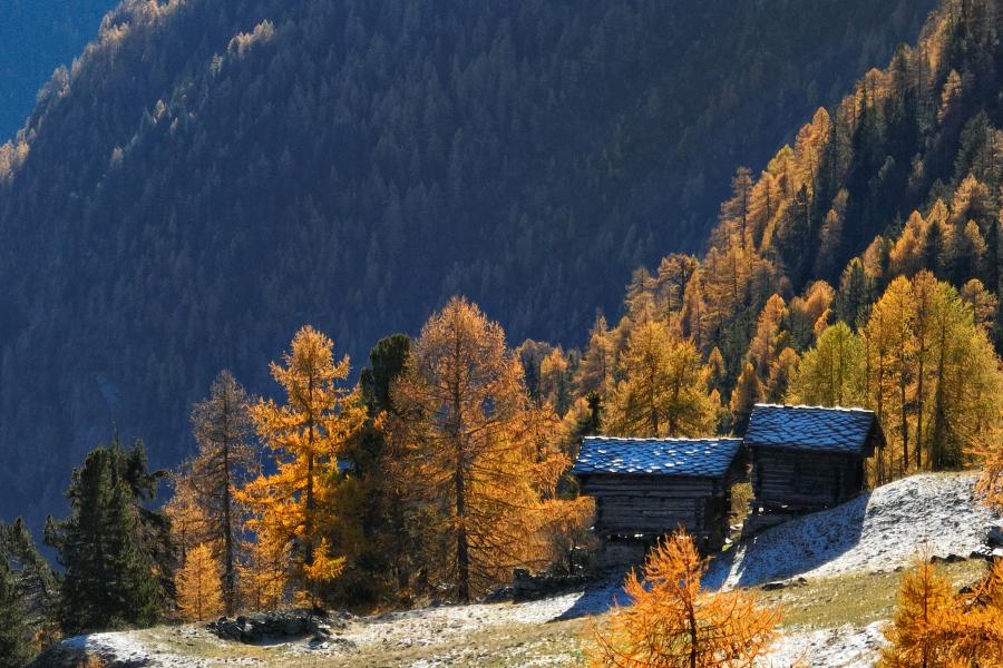 Autunno a Gressoney