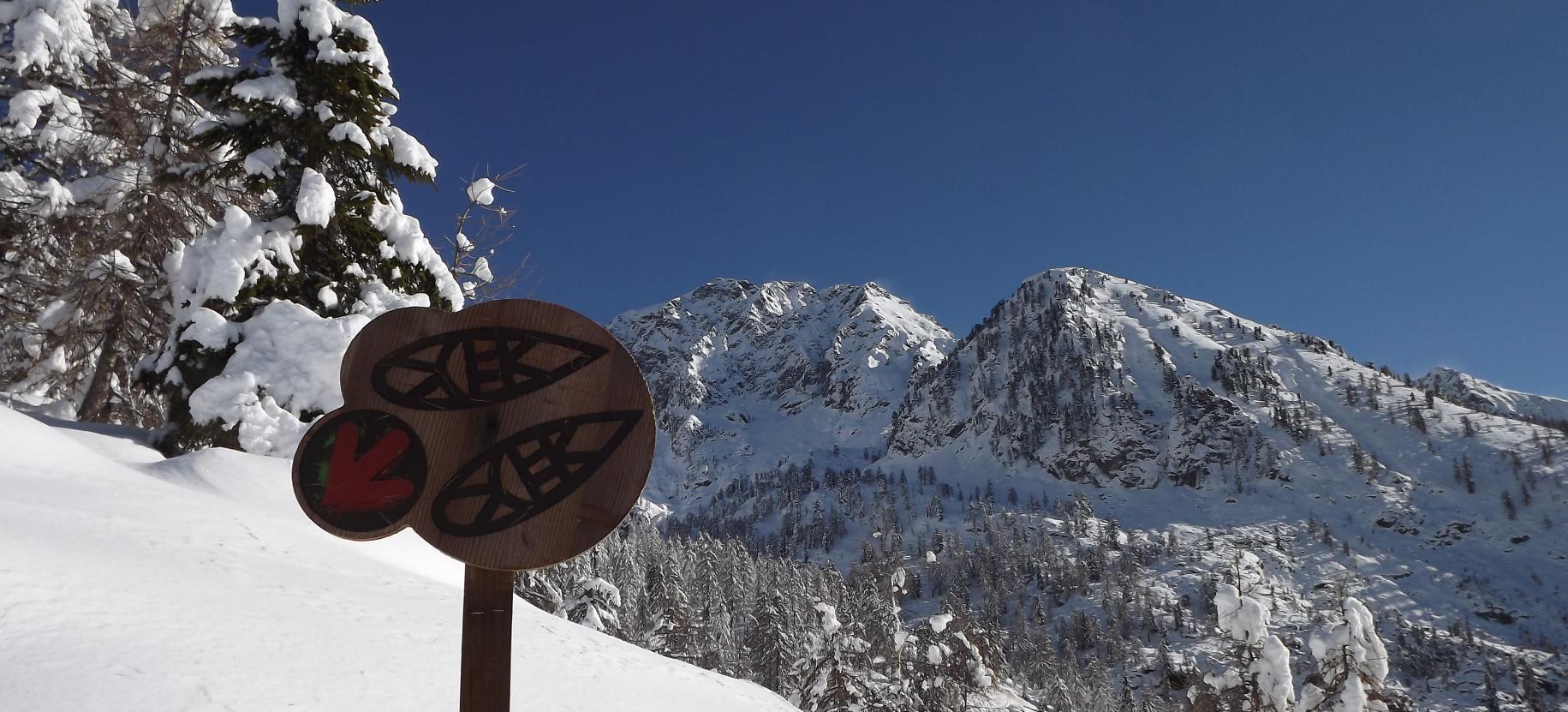 Itinéraire en raquettes à neige