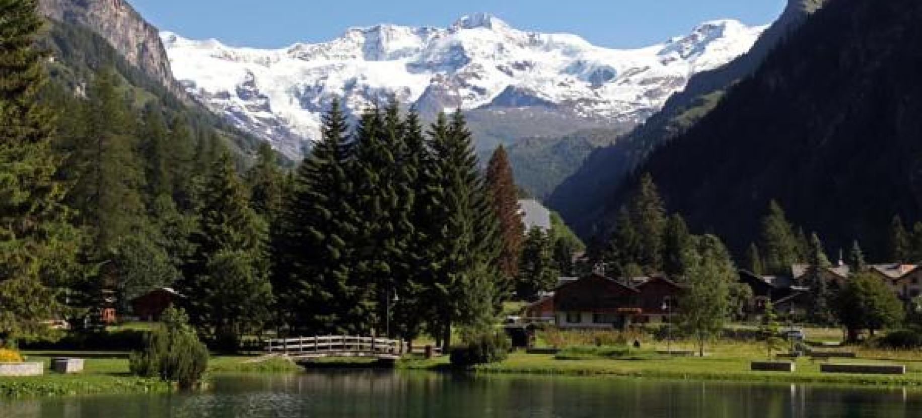 Artemisia - Mostra di piante e fiori di montagna