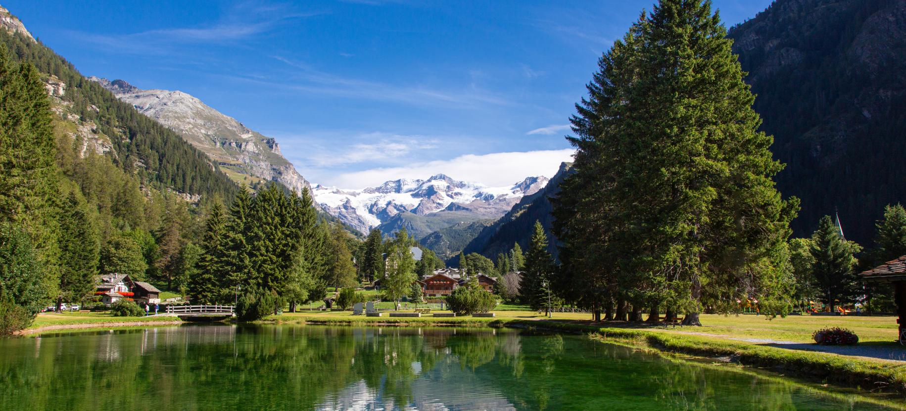 Artemisia - Mostra di piante e fiori di montagna