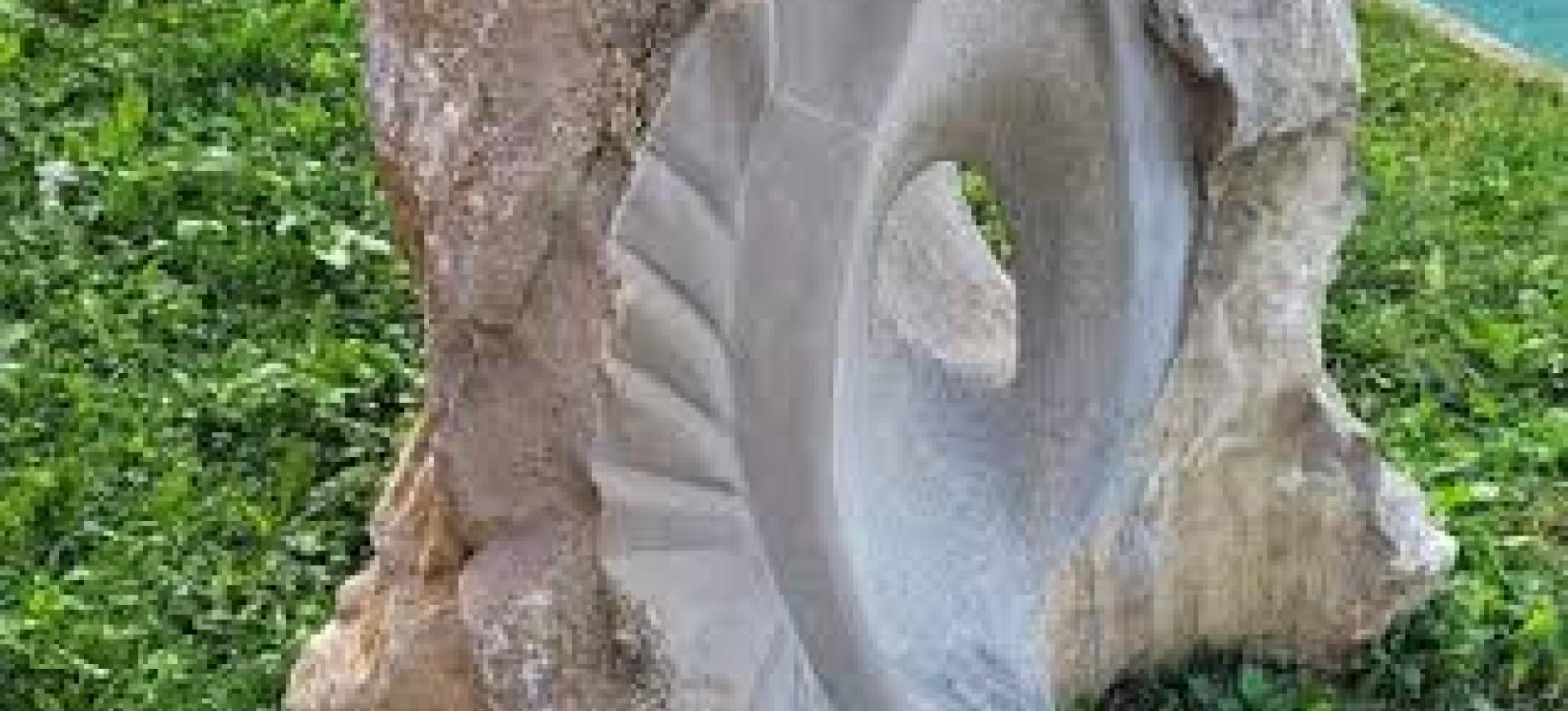 "Nuove sensazioni" - mostra di scultura