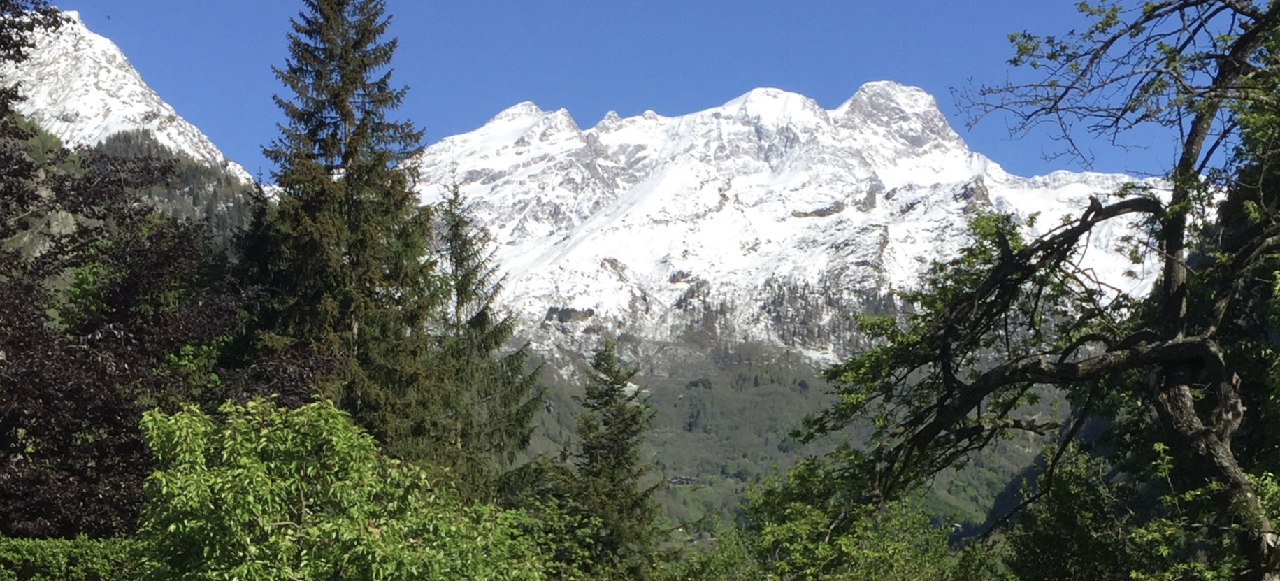 Il Monte Rosa visto dal nostro giardino