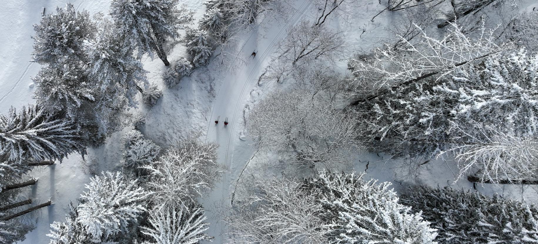 Pista di Fondo Gressoney Saint Jean