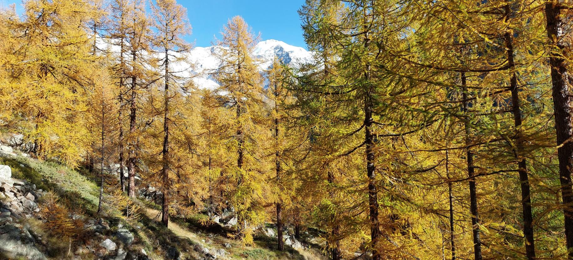 Staffal Sant'Anna Autunno