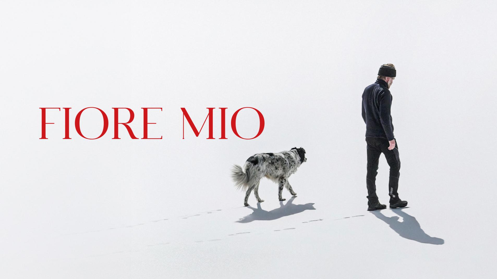 fior mio  Fiore mio" - cinema