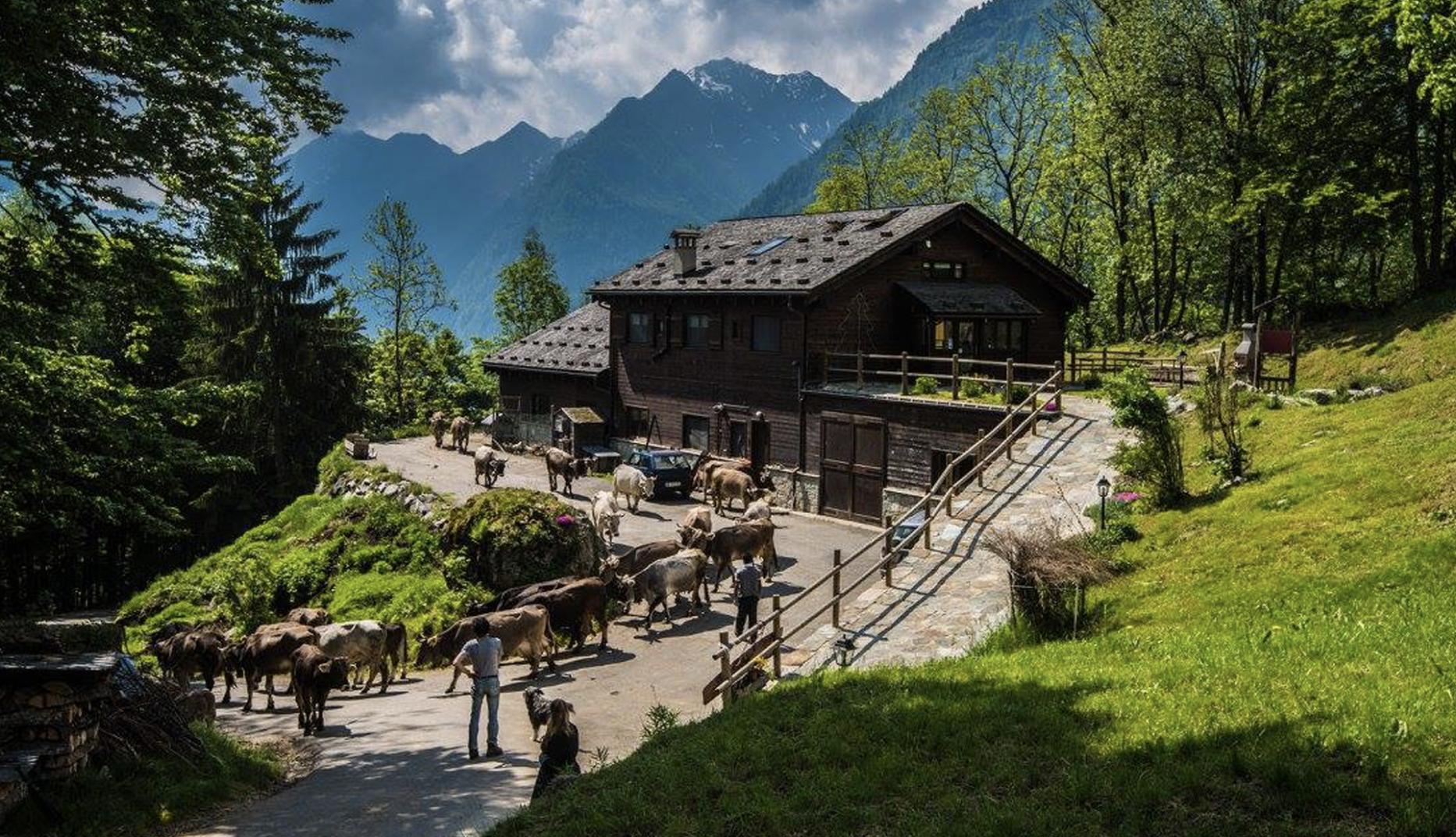 Agriturismo Alagna