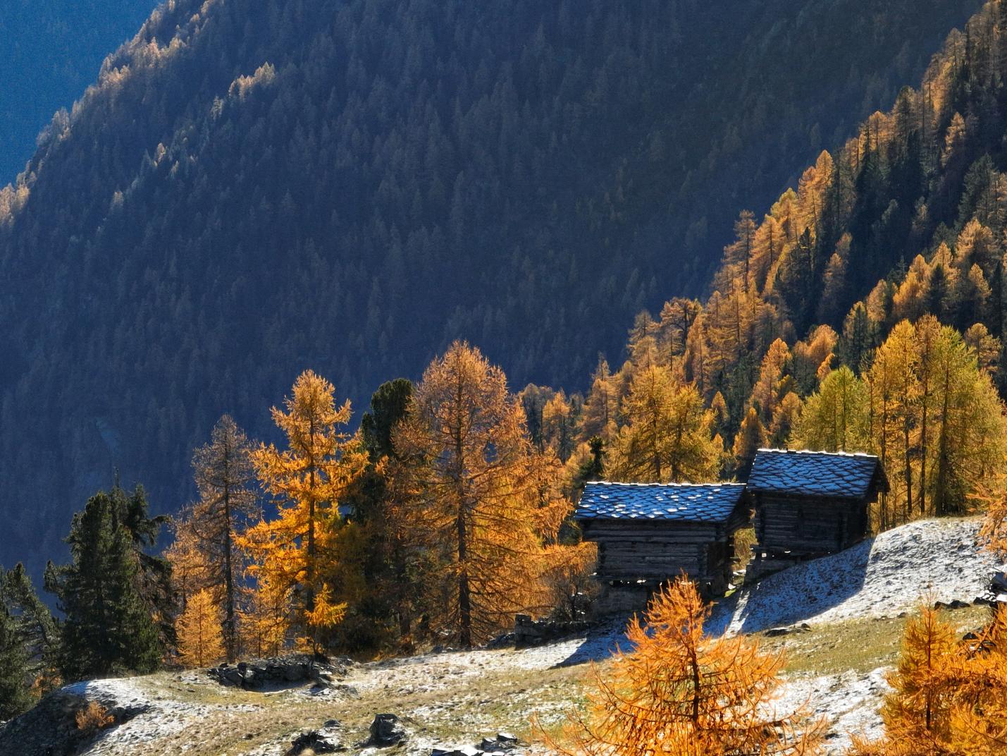 Autunno a Gressoney