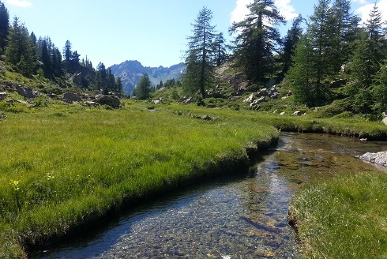 Gressoney Saint Jean – circular walks