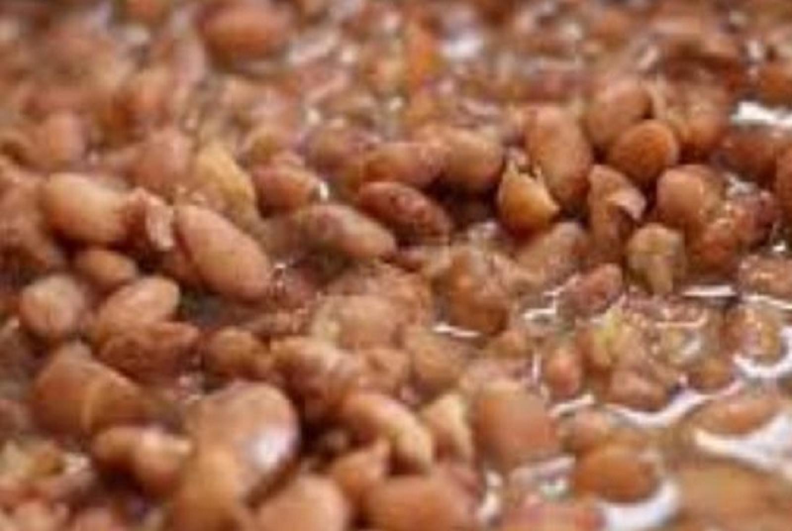 Fagiolata Fagiolata nel rione "Insula Vernae"
