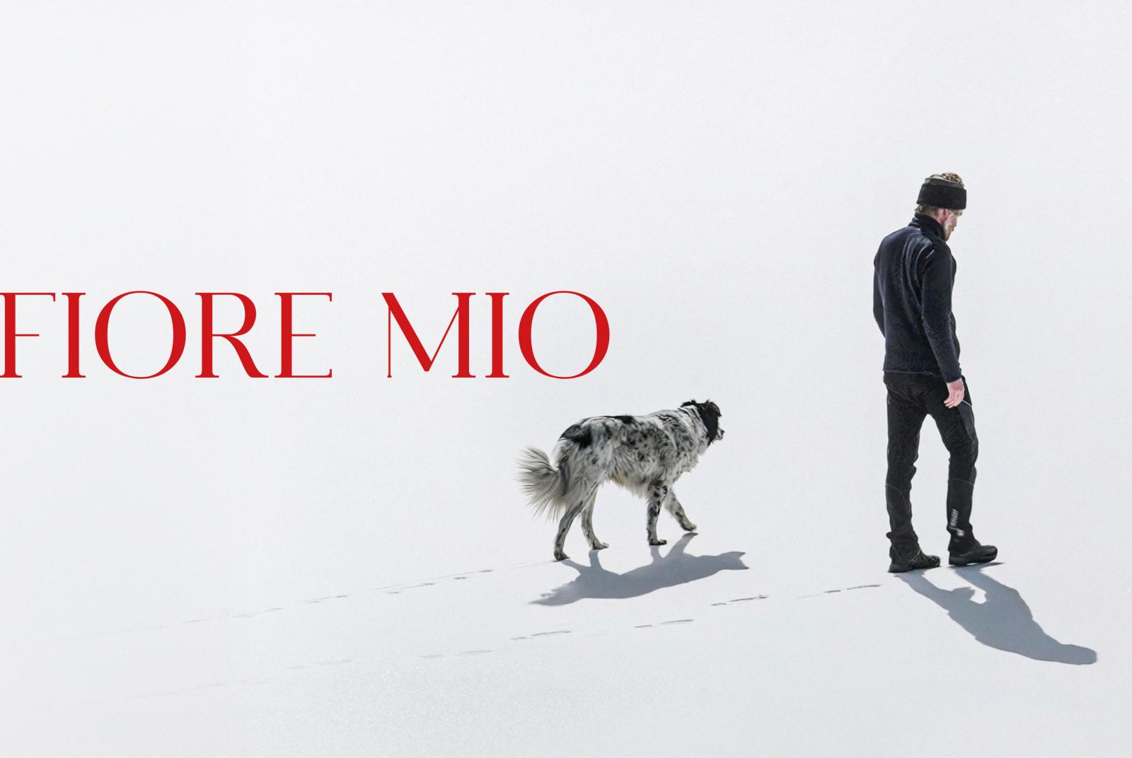 fiore mio fior mio Fiore mio" - cinema