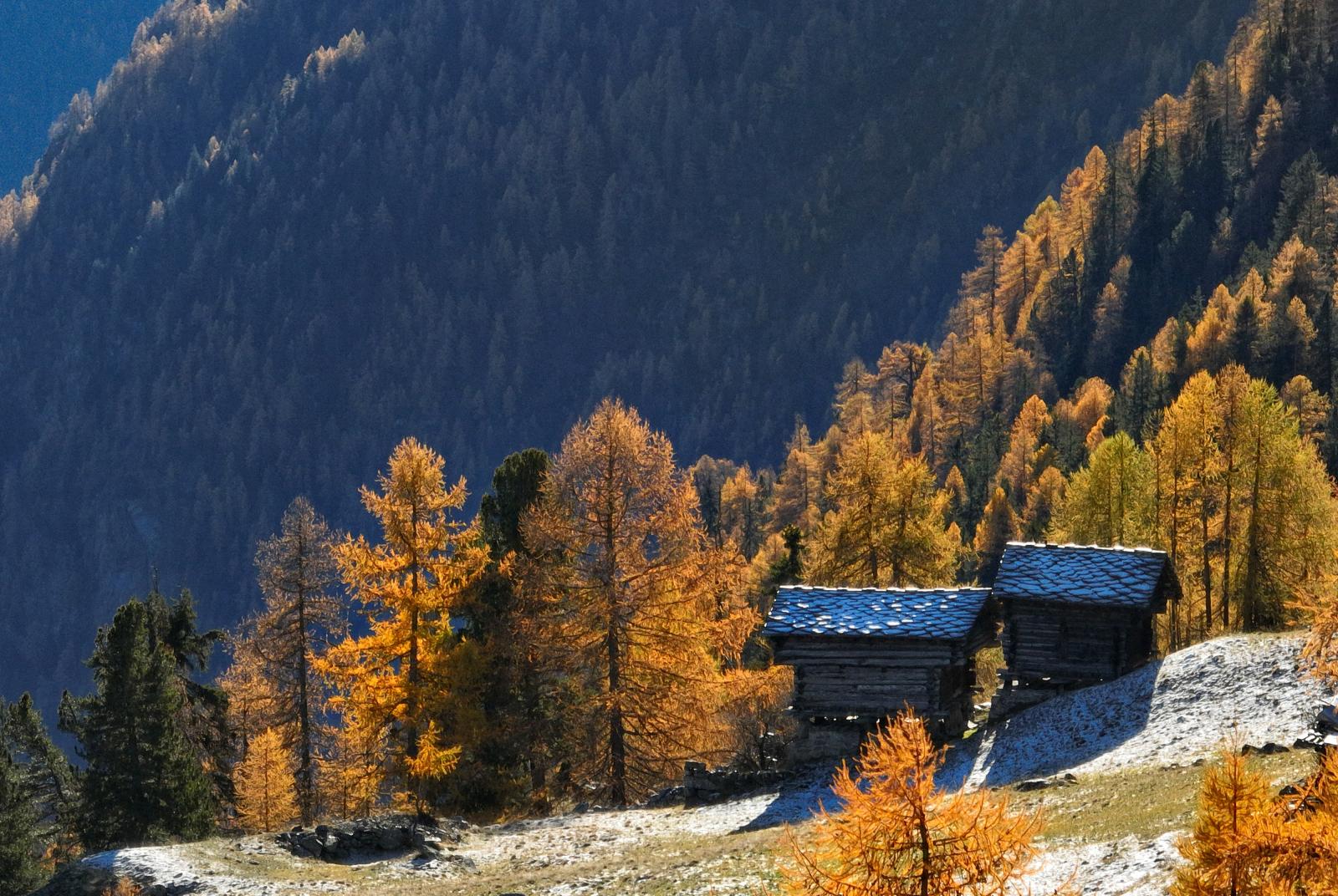 Autunno a Gressoney