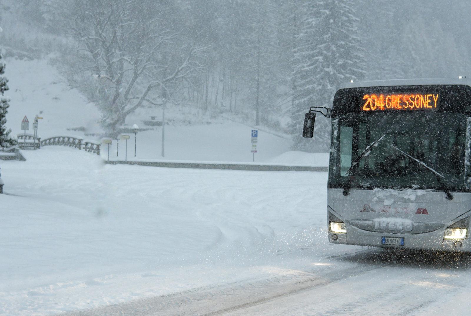 foto Navetta